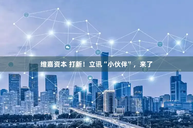 维嘉资本 打新！立讯“小伙伴”，来了