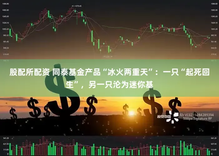 股配所配资 同泰基金产品“冰火两重天”：一只“起死回生”，另一只沦为迷你基