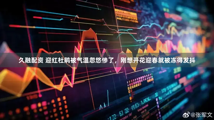 久融配资 迎红杜鹃被气温忽悠惨了，刚想开花迎春就被冻得发抖