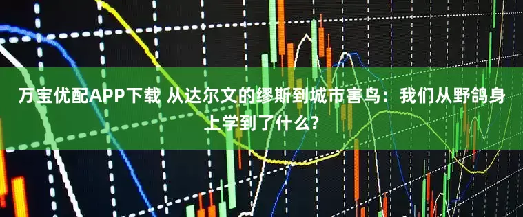 万宝优配APP下载 从达尔文的缪斯到城市害鸟：我们从野鸽身上学到了什么?